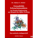 Grenzdebile Schwachsinnsideen